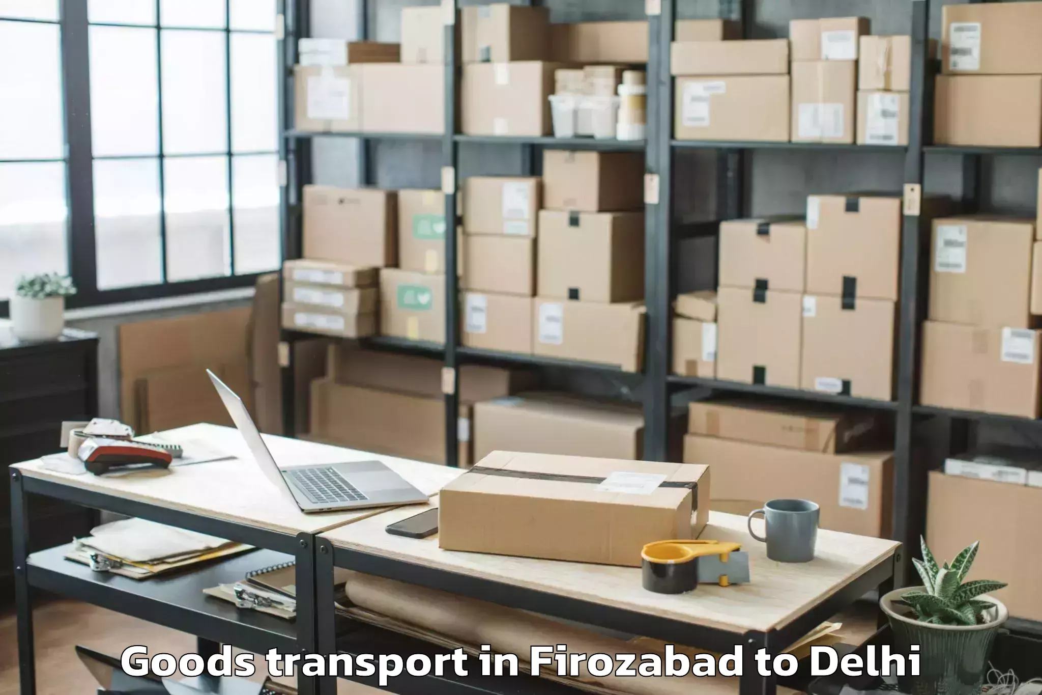 Top Firozabad to City Centre Mall Dwarka Goods Transport Available